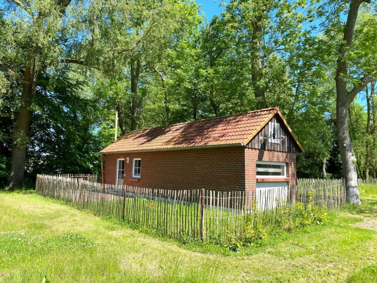 Hofgut Bisdamitz - Ferienhaus "Knoff" Exterior foto