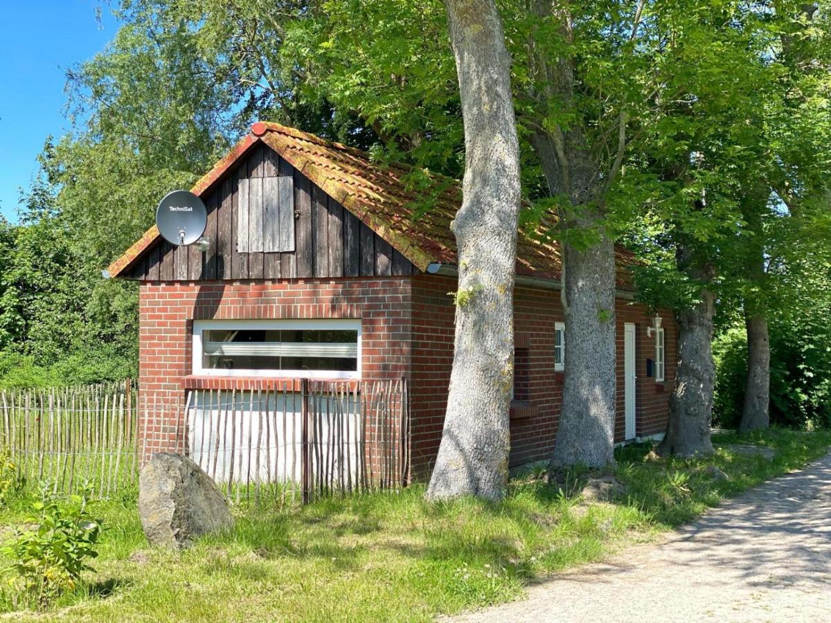 Hofgut Bisdamitz - Ferienhaus "Knoff" Exterior foto