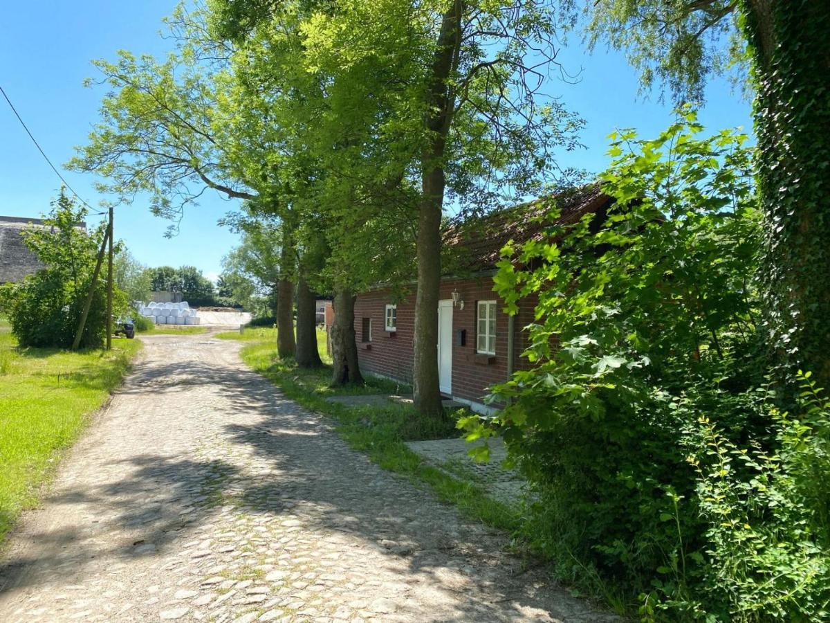 Hofgut Bisdamitz - Ferienhaus "Knoff" Exterior foto
